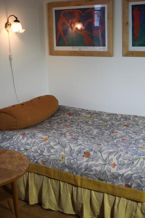 Charming villa with a hot tub, by the Golden Circle room 2